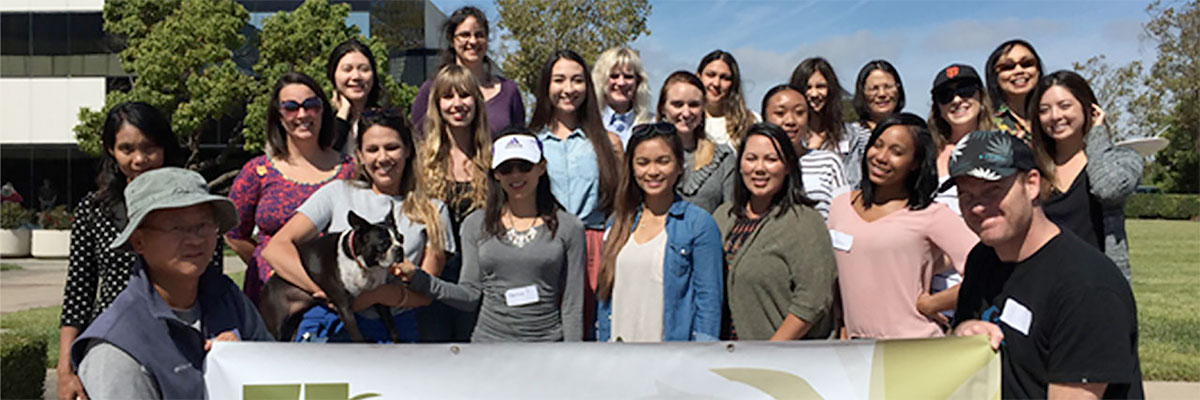 Chaa Creating Brighter Futures With Asian American And Pacific Islander Communities Chaa Creating Brighter Futures With Asian American And Pacific Islander Communities